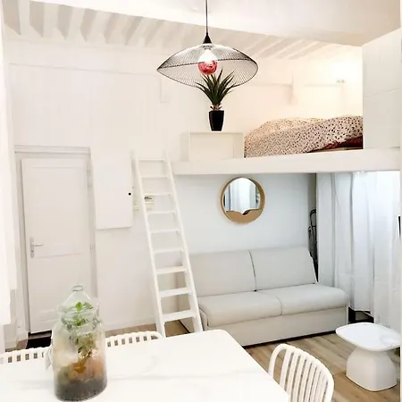 Apartment En Bord De Saone Lyon